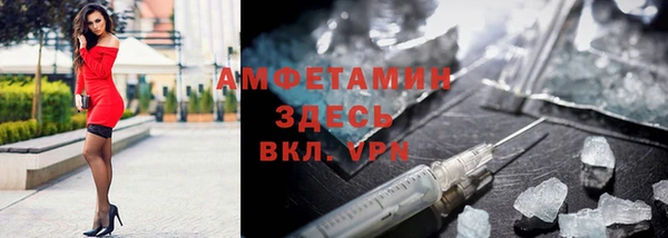 крисы Ельня
