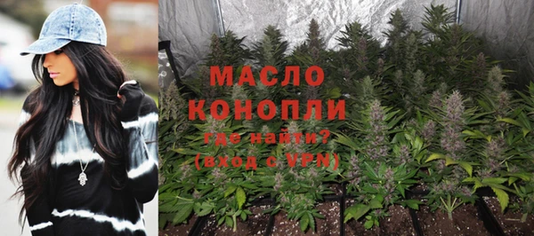 крисы Ельня