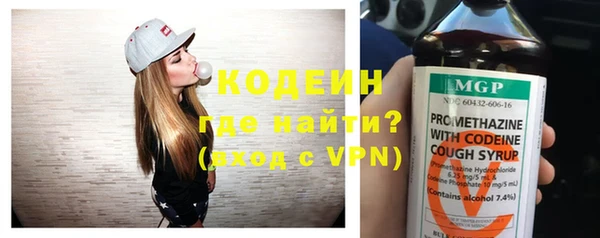 крисы Ельня