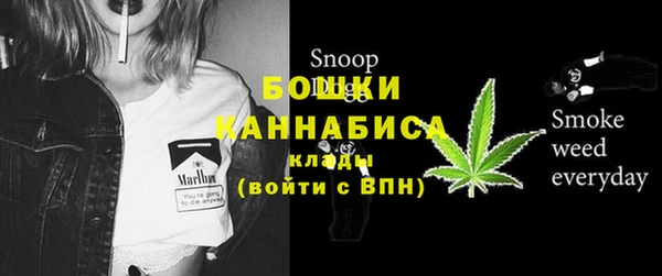 крисы Ельня