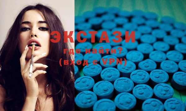 крисы Ельня