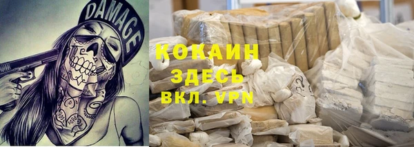 ГАЛЛЮЦИНОГЕННЫЕ ГРИБЫ Елизово