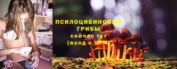 ГАЛЛЮЦИНОГЕННЫЕ ГРИБЫ Елизово