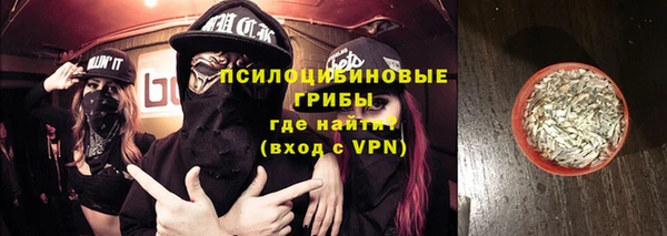 ГАЛЛЮЦИНОГЕННЫЕ ГРИБЫ Елизово