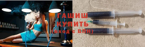 крисы Ельня
