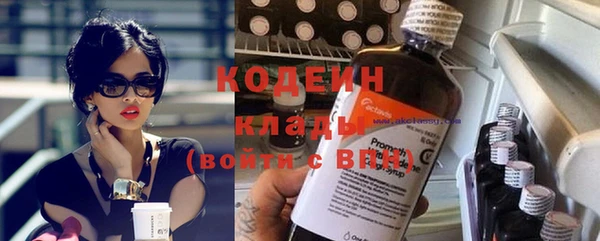 крисы Ельня