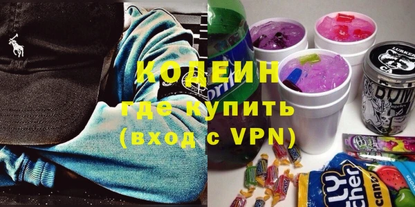 крисы Ельня