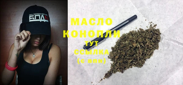 крисы Ельня
